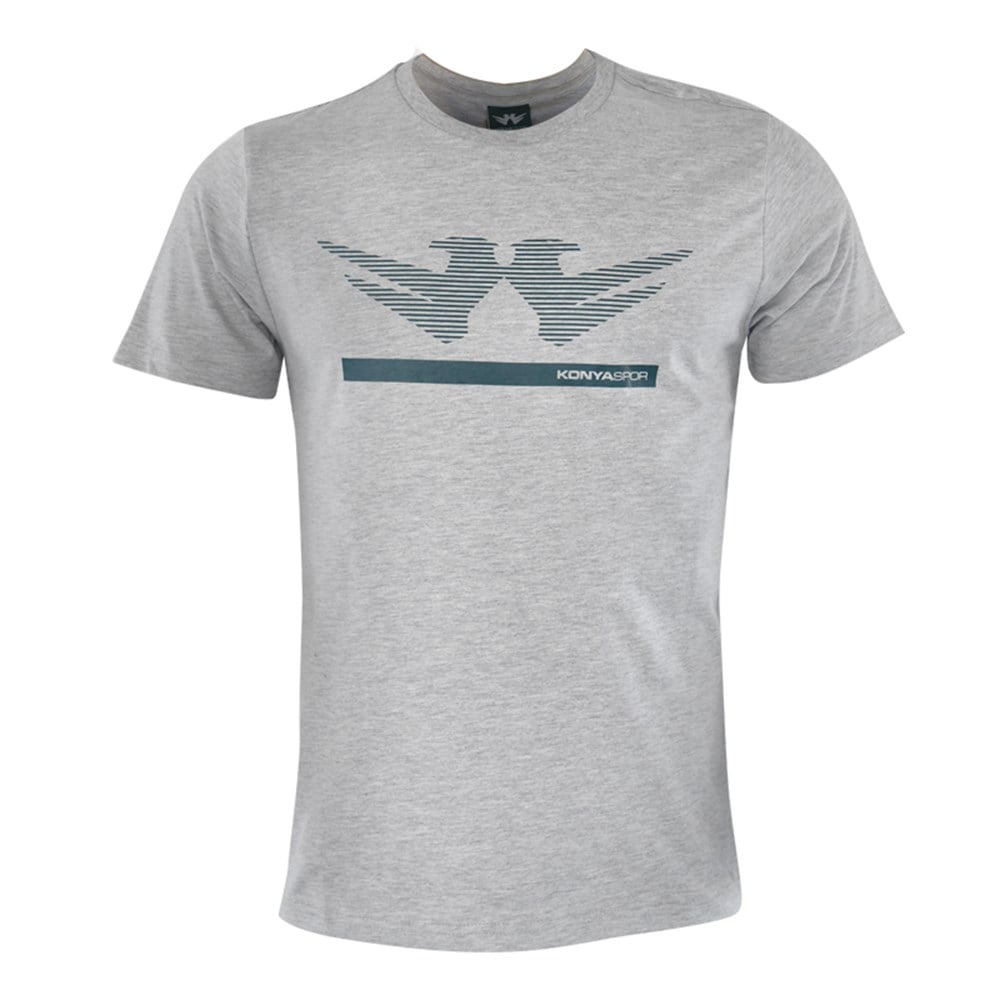 DORİN GRİ ERKEK T-SHIRT