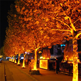 30Watt Fonksiyonel Solar Çim / Bahçe Aydınlatma Armatürü (Amber Işık)