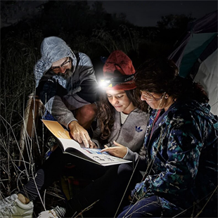 COB Ledli Solar Güneş Enerjili Kafa Feneri
