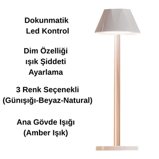 Dokunmatik Şarjlı Dekoratif Mellea Led Masa Lambası