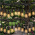 Forlife FL-3294 220Volt 10 Adet E27 Duylu 20 Metre Kablolu Set (20 Adet S14 Led Ampul Hediyeli)