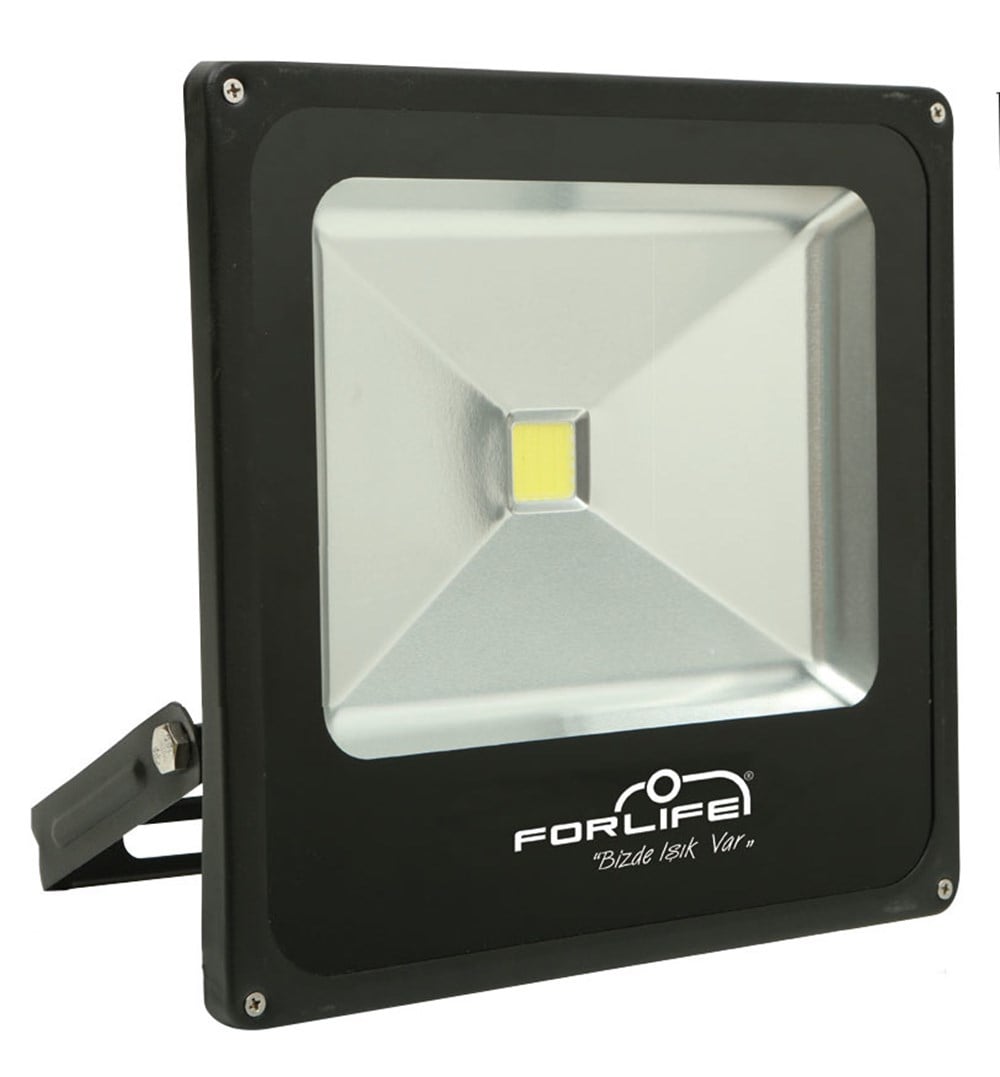 FL-301 30 Watt Slim LED Projektör
