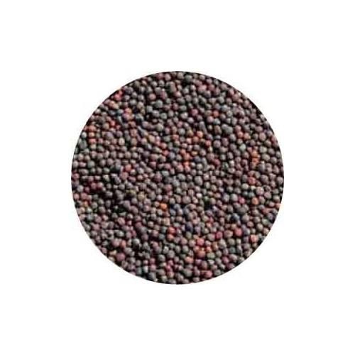 Yem & Tarla TohumlarıÇiftçiburadaÇiftçiburada Yem Şalgamı Ot Tipi Lenox 1 kg.