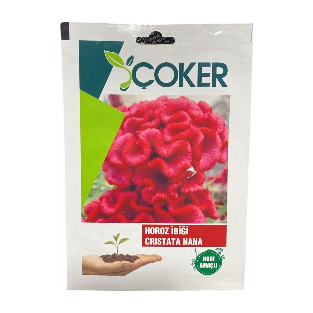 Çiçek TohumlarıÇokerÇoker Horoz İbiği Çiçek Tohumu
