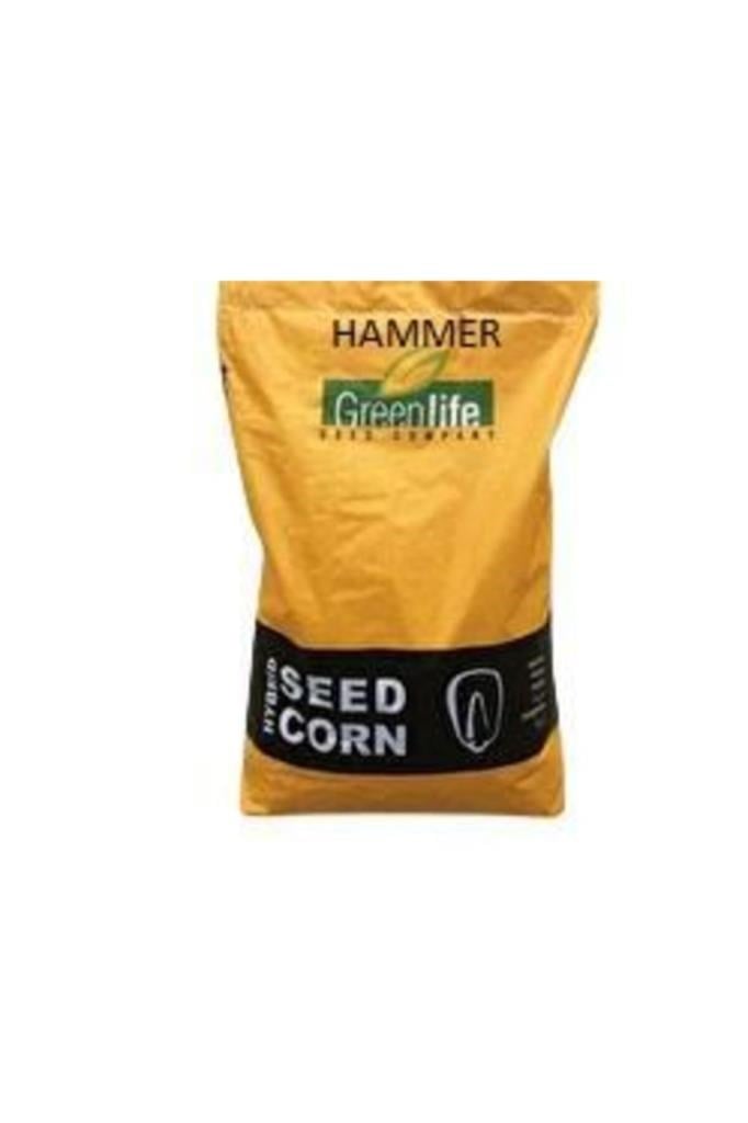 Yem & Tarla TohumlarıGreenlifeGreenlife Hammer Slaj Mısır Tohumu