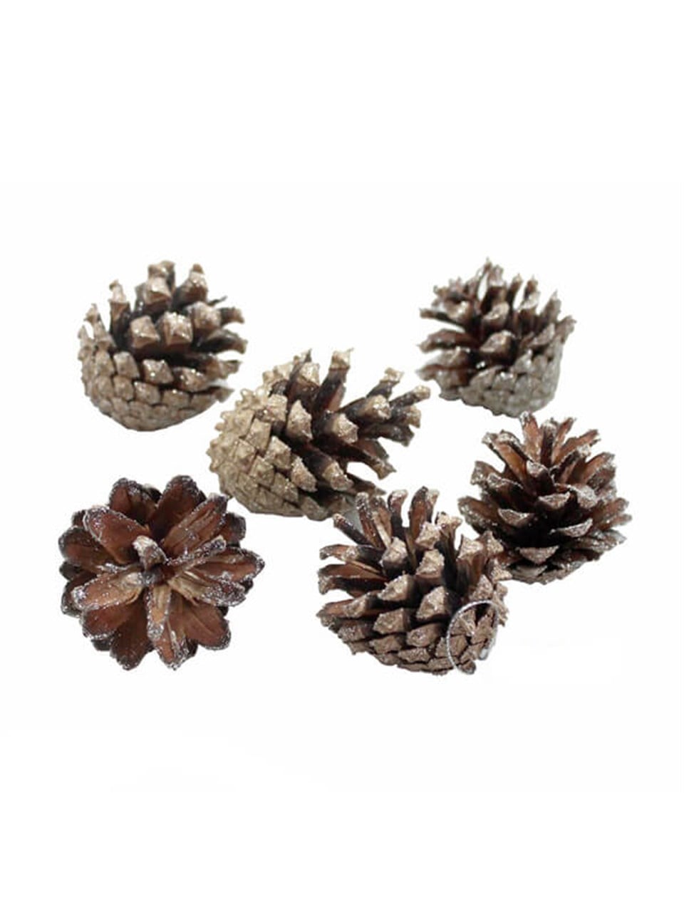 Ağaç Süsü, Kozalak 6lı 4cm