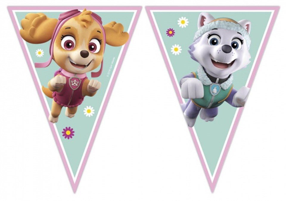 Paw Patrol Pembe, Bayrak Dizisi
