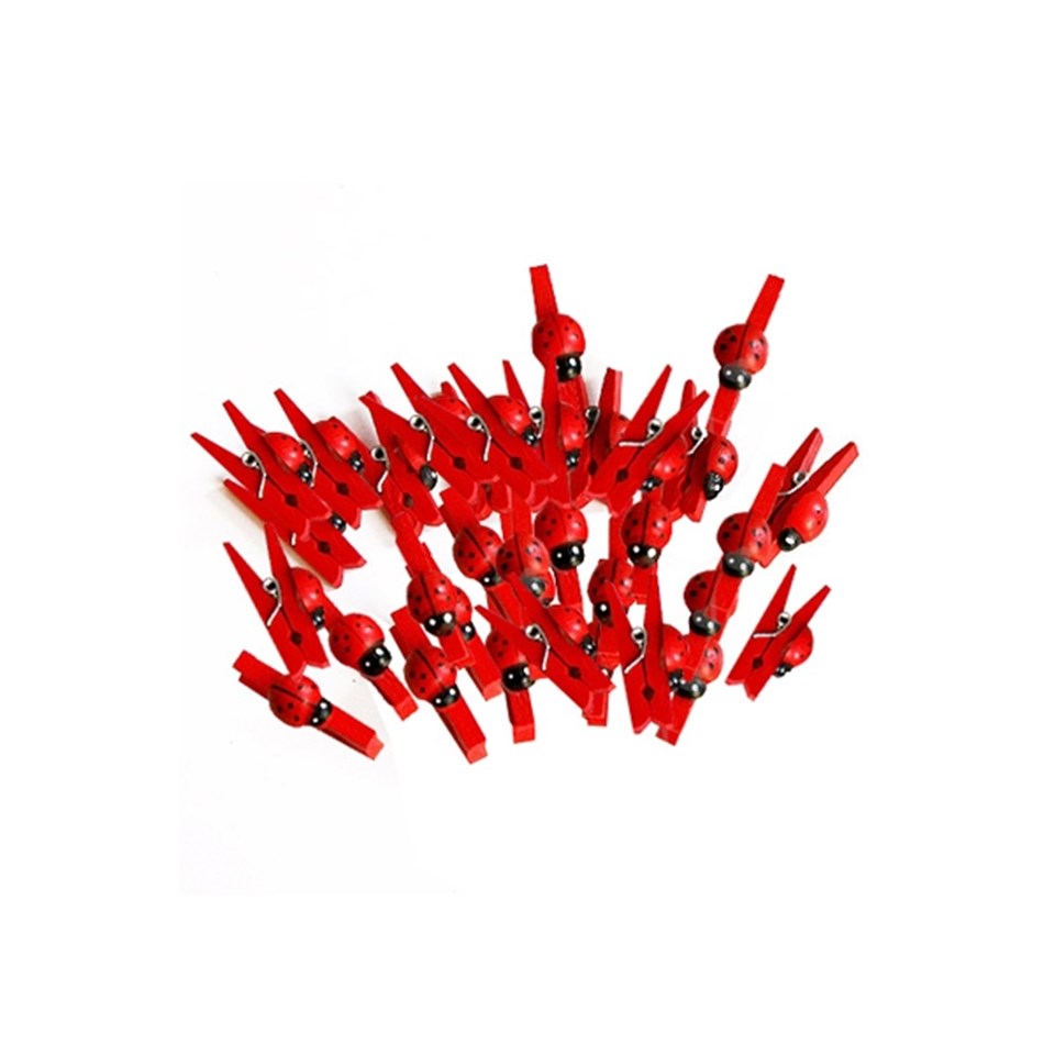 Uğur Böceği Mini Mandal