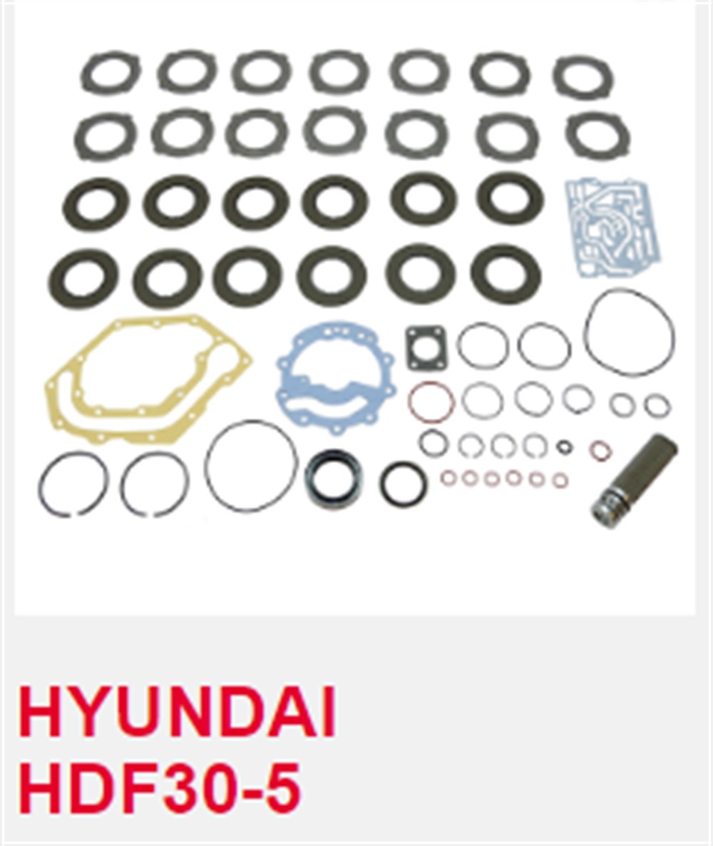 HYUNDAI ŞANZIMAN KİT