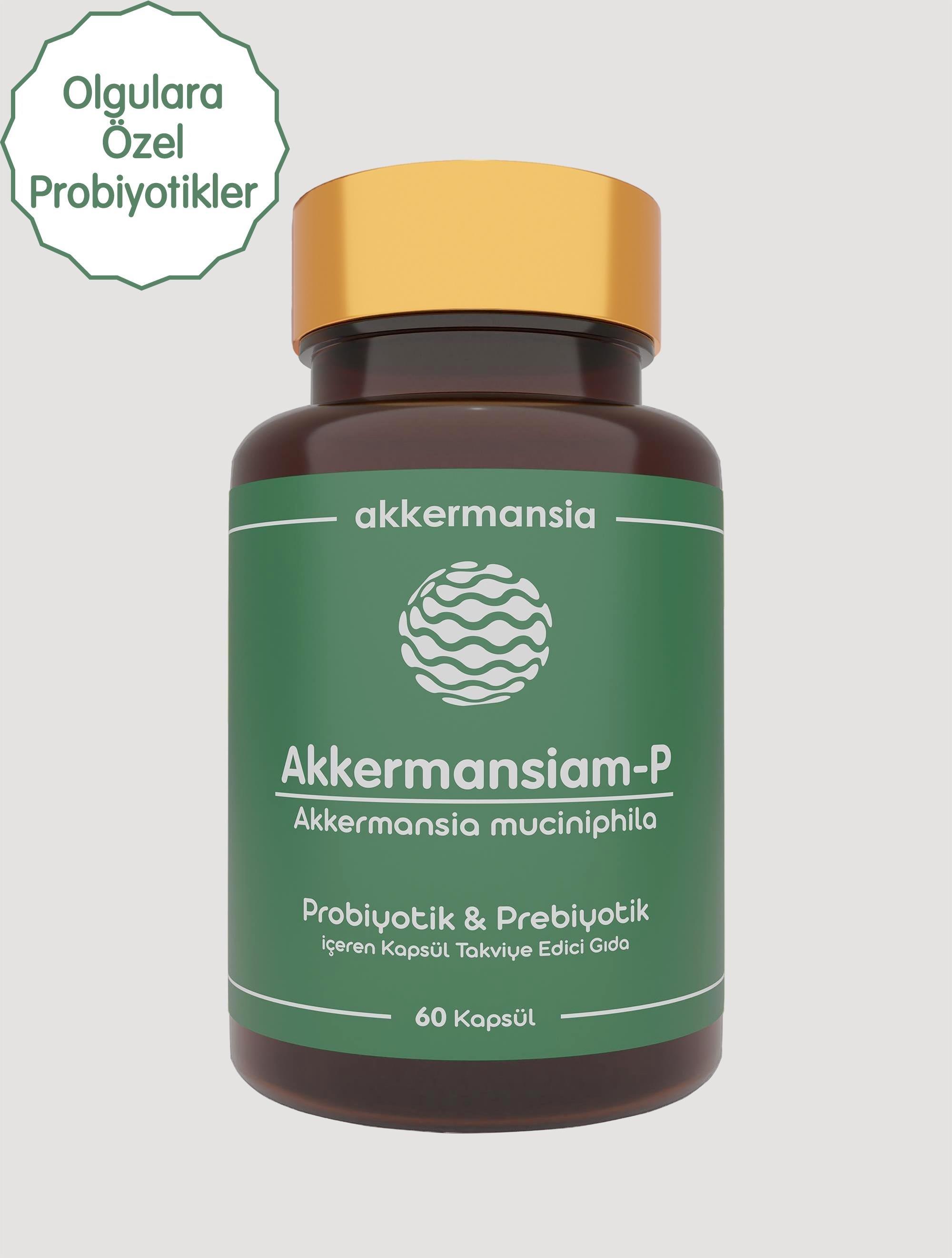 Akkermansiam-P Akkermansia Muciniphila İçeren Takviye Edici Gıda 60 Kapsül-Akkermansiam