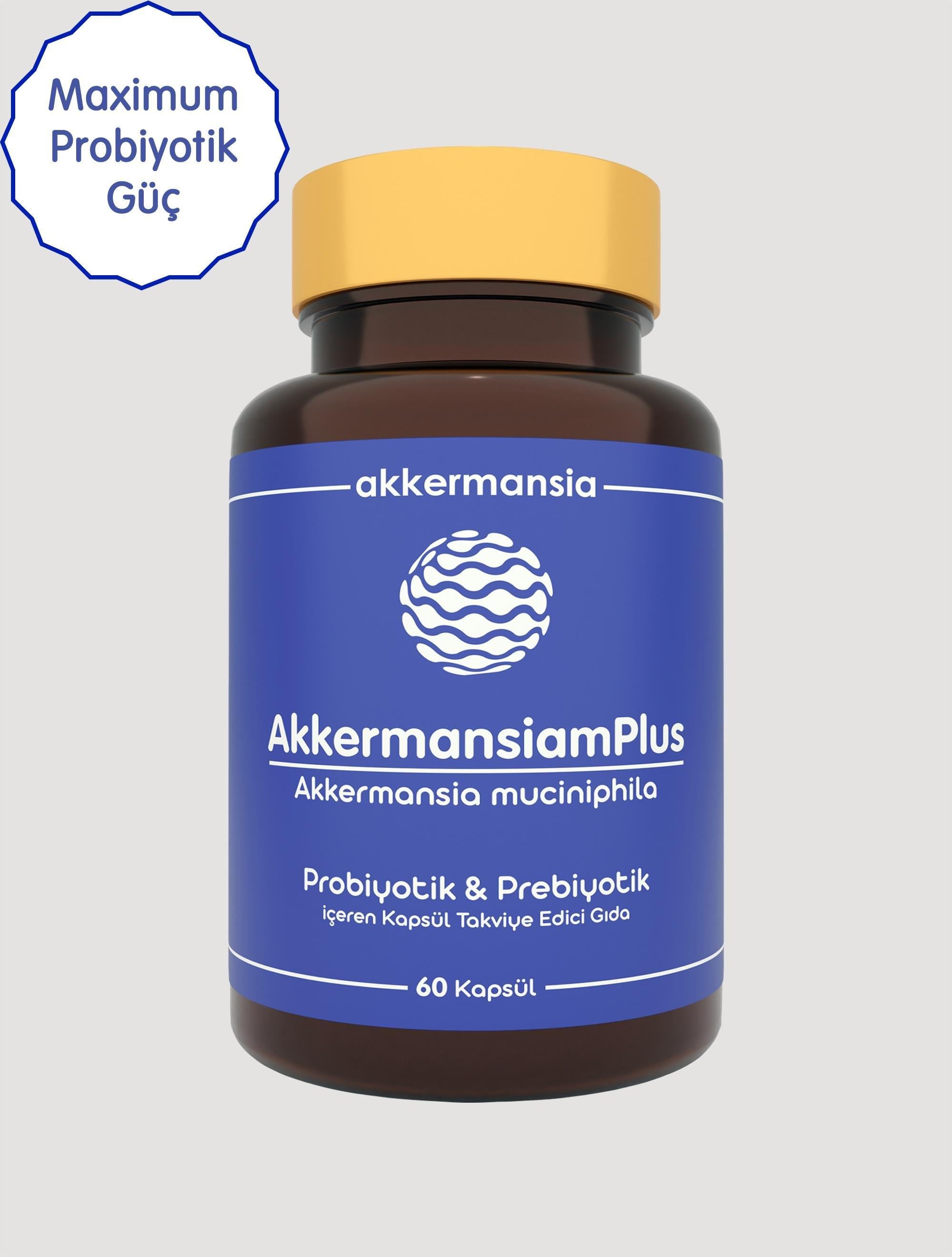 AkkermansiamPlus Akkermansia Muciniphila İçeren Takviye Edici Gıda 60 Kapsül-Akkermansiam