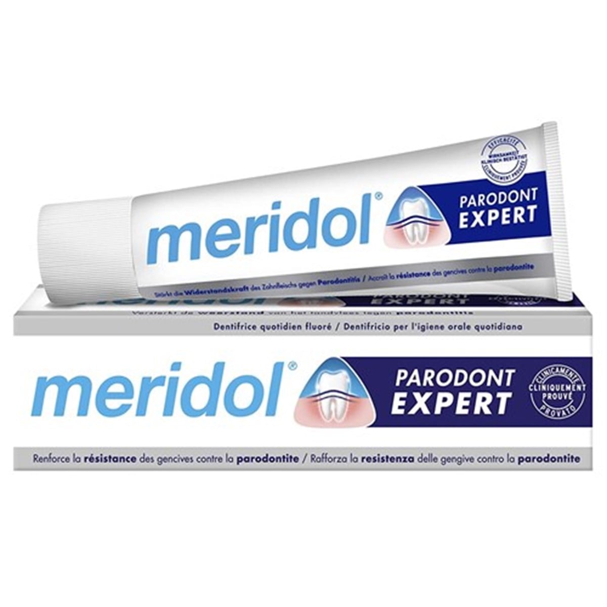Meridol Parodont Expert Diş Macunu 75 ml