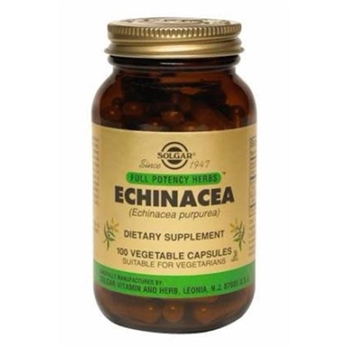 Solgar Echinacea 520 Mg 100 Kapsül