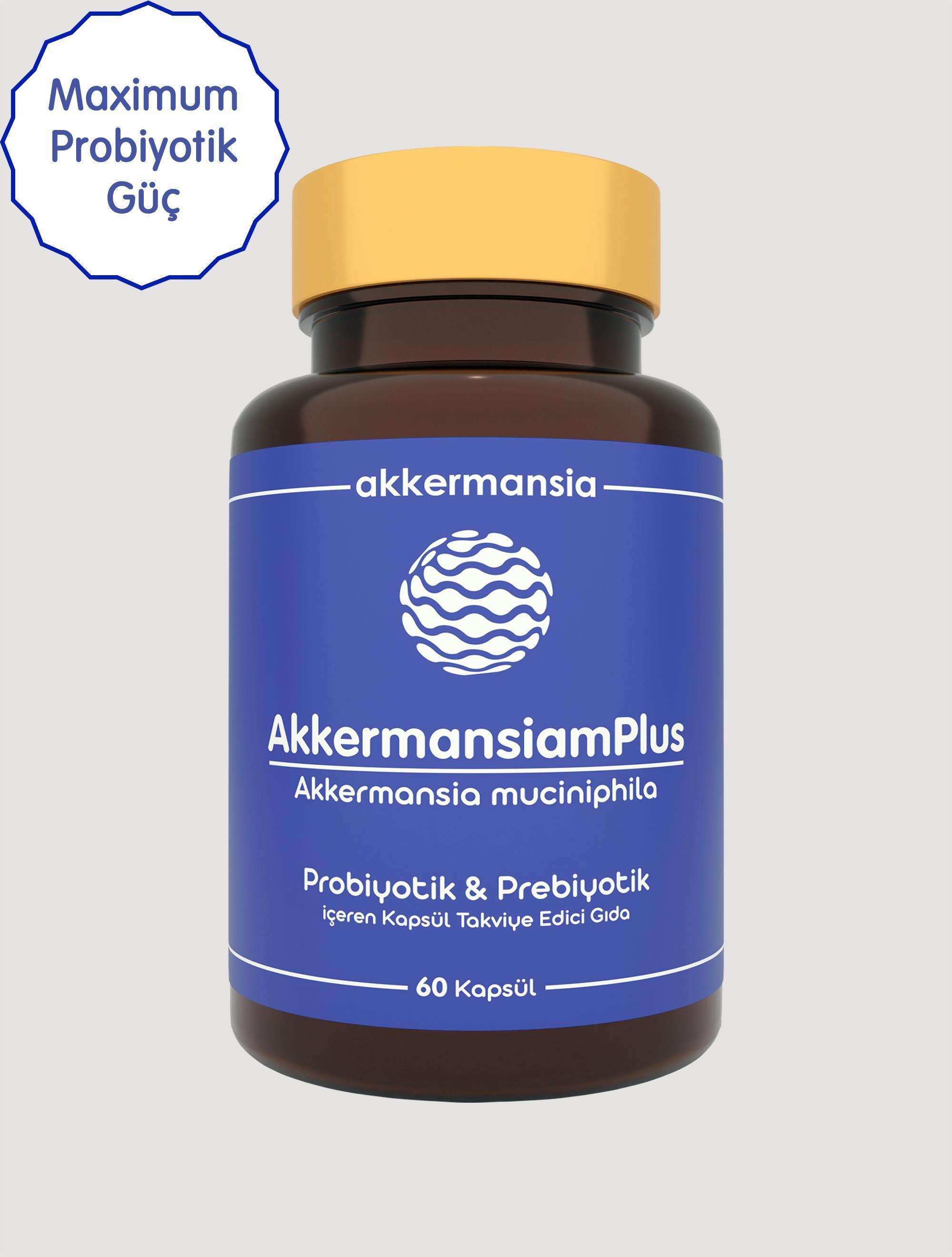 AkkermansiamPlus Akkermansia Muciniphila İçeren Takviye Edici Gıda 60 Kapsül-Akkermansiam