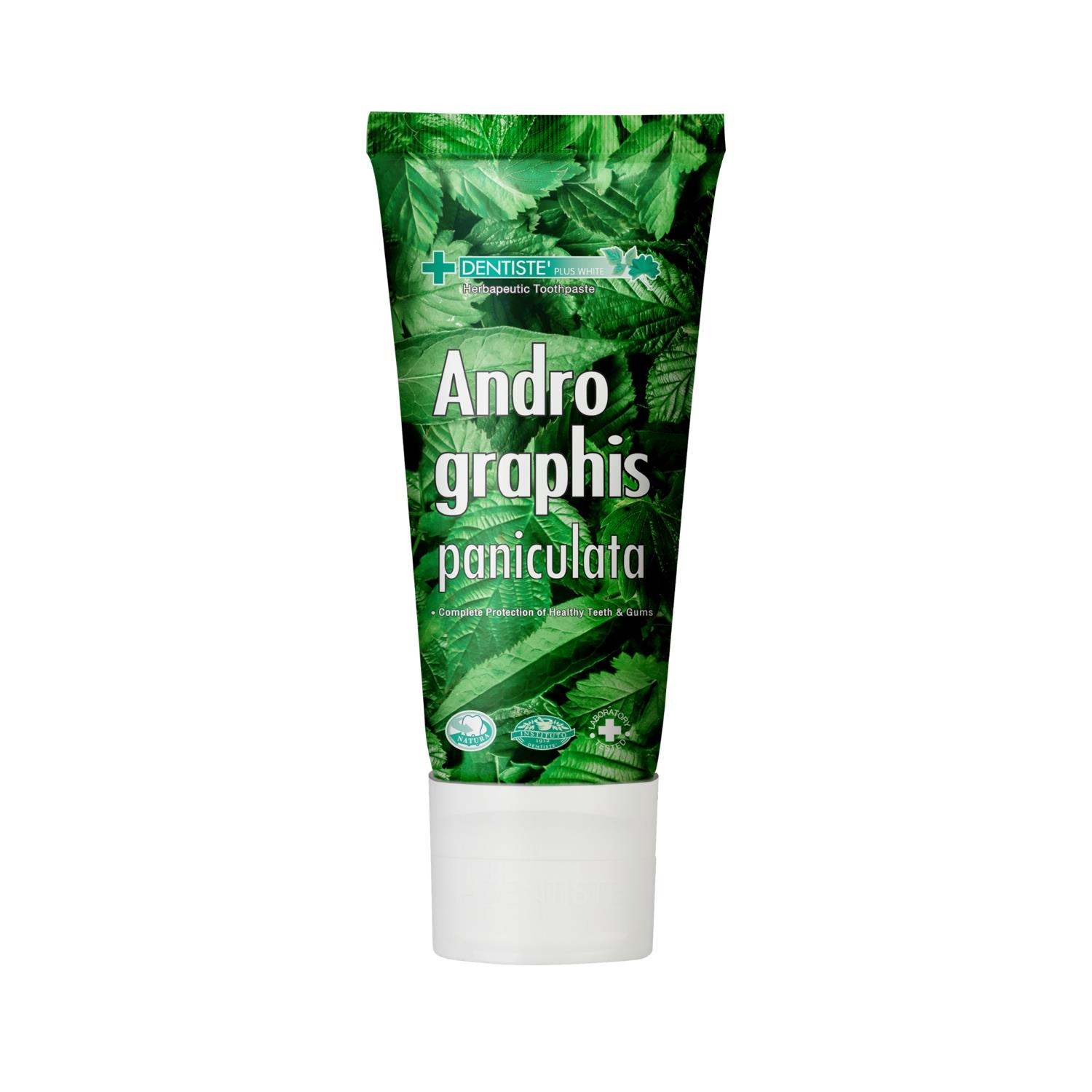 Dentiste Diş Macunu Andrographis Paniculata 40 gr-Dentiste