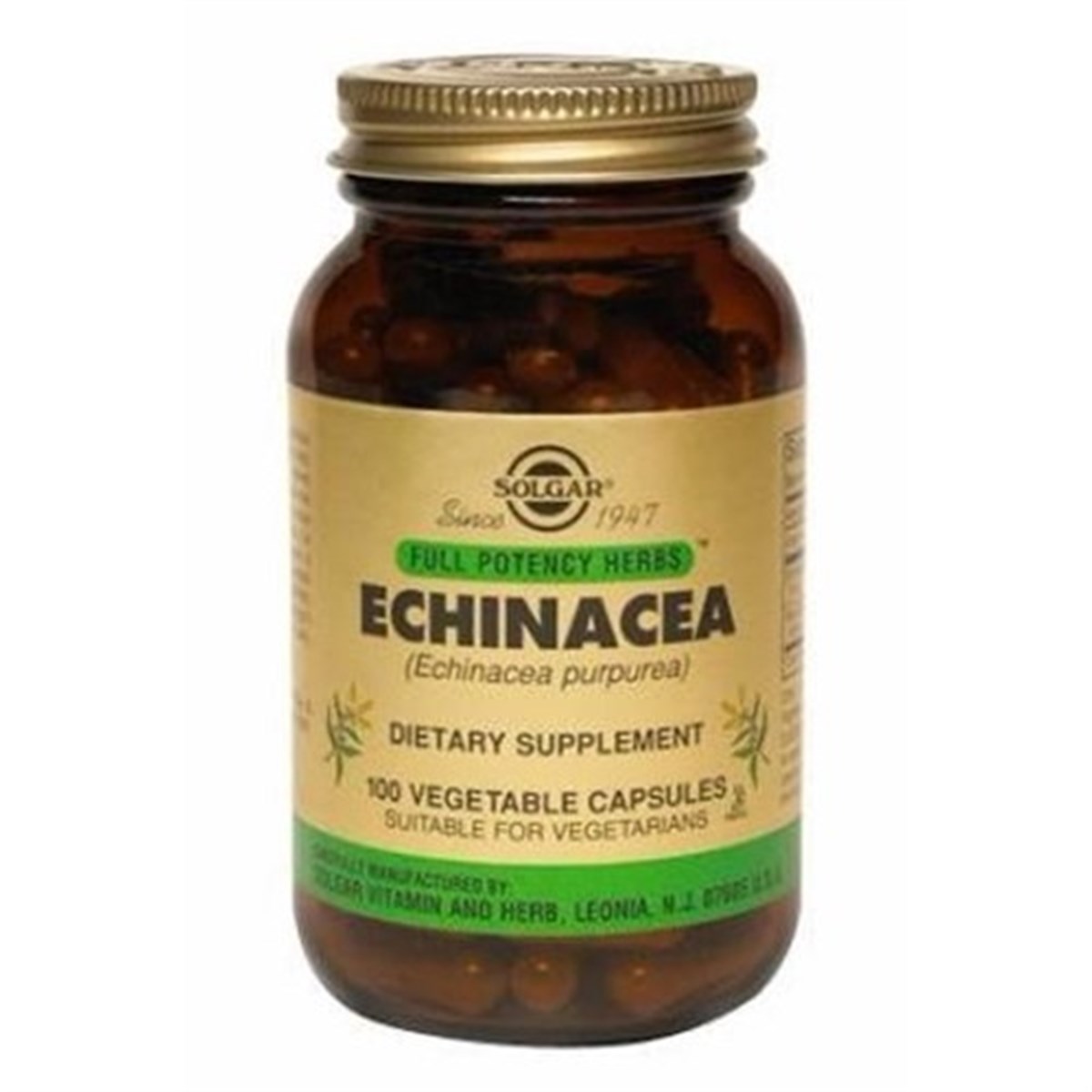 Solgar Echinacea 520 Mg 100 Kapsül