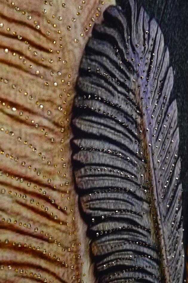 AN4013 FEATHER KİMONO