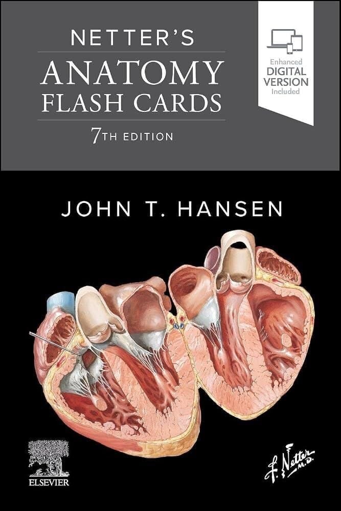 Netters Anatomy Flash Cards
