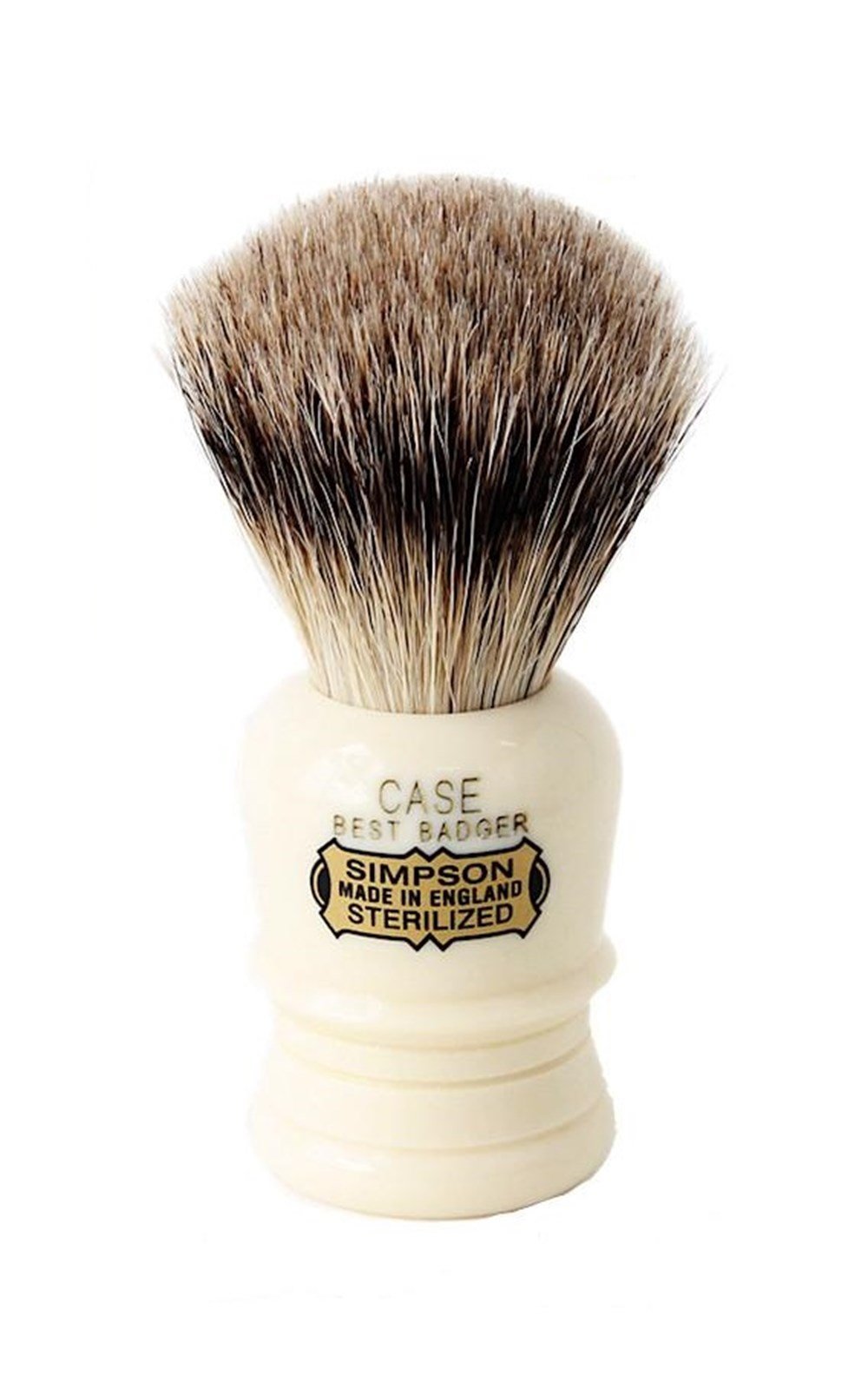 SIMPSONS TIRAŞ FIRÇASI CASE 1 BEST