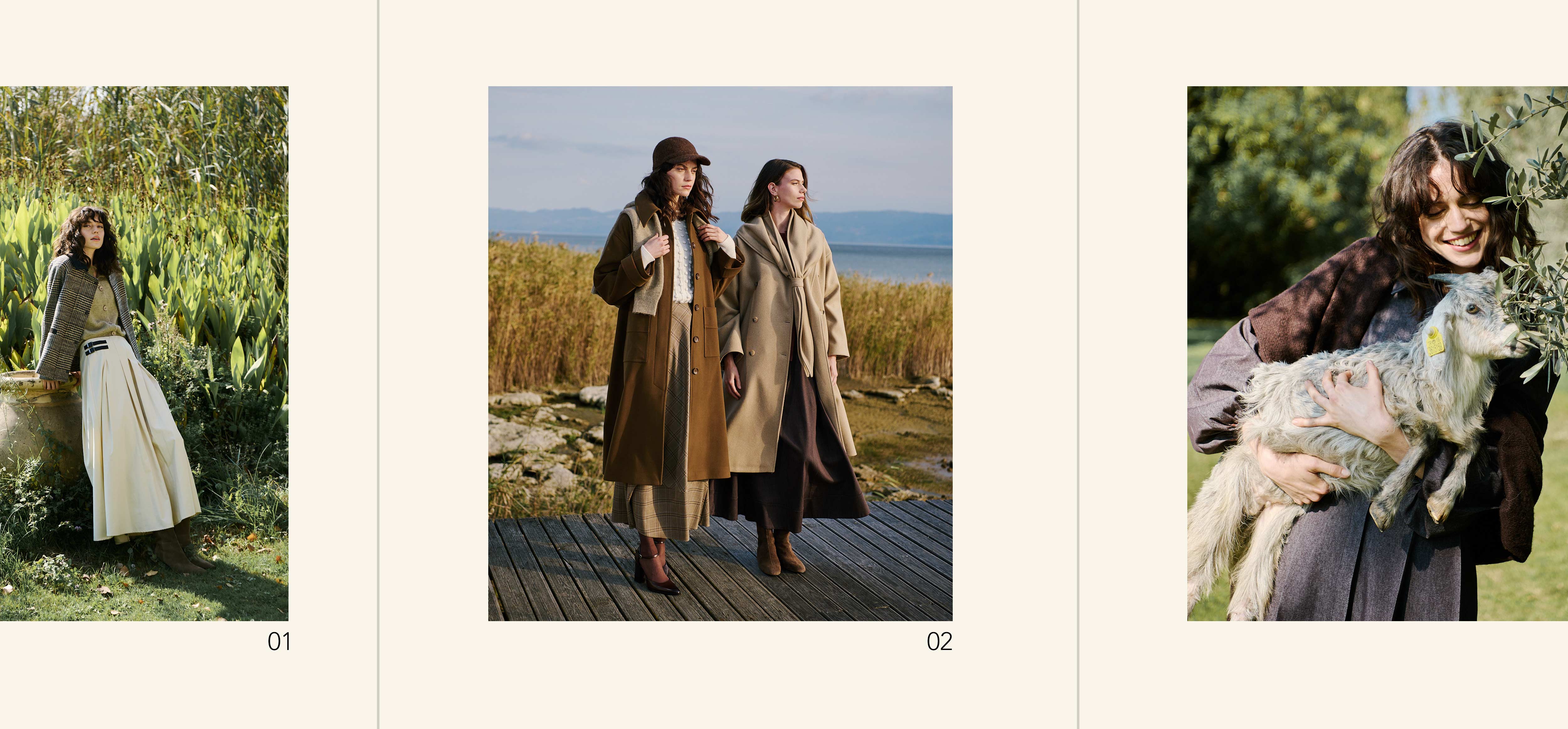 Root and Wind Colection