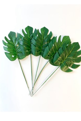 Mini Yaprak Yeşil Devetabanı Model 5 Adet 8'20 cm
