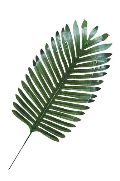 Yaprak Yeşil Palmiye Modeli 35 cm 1 Adet