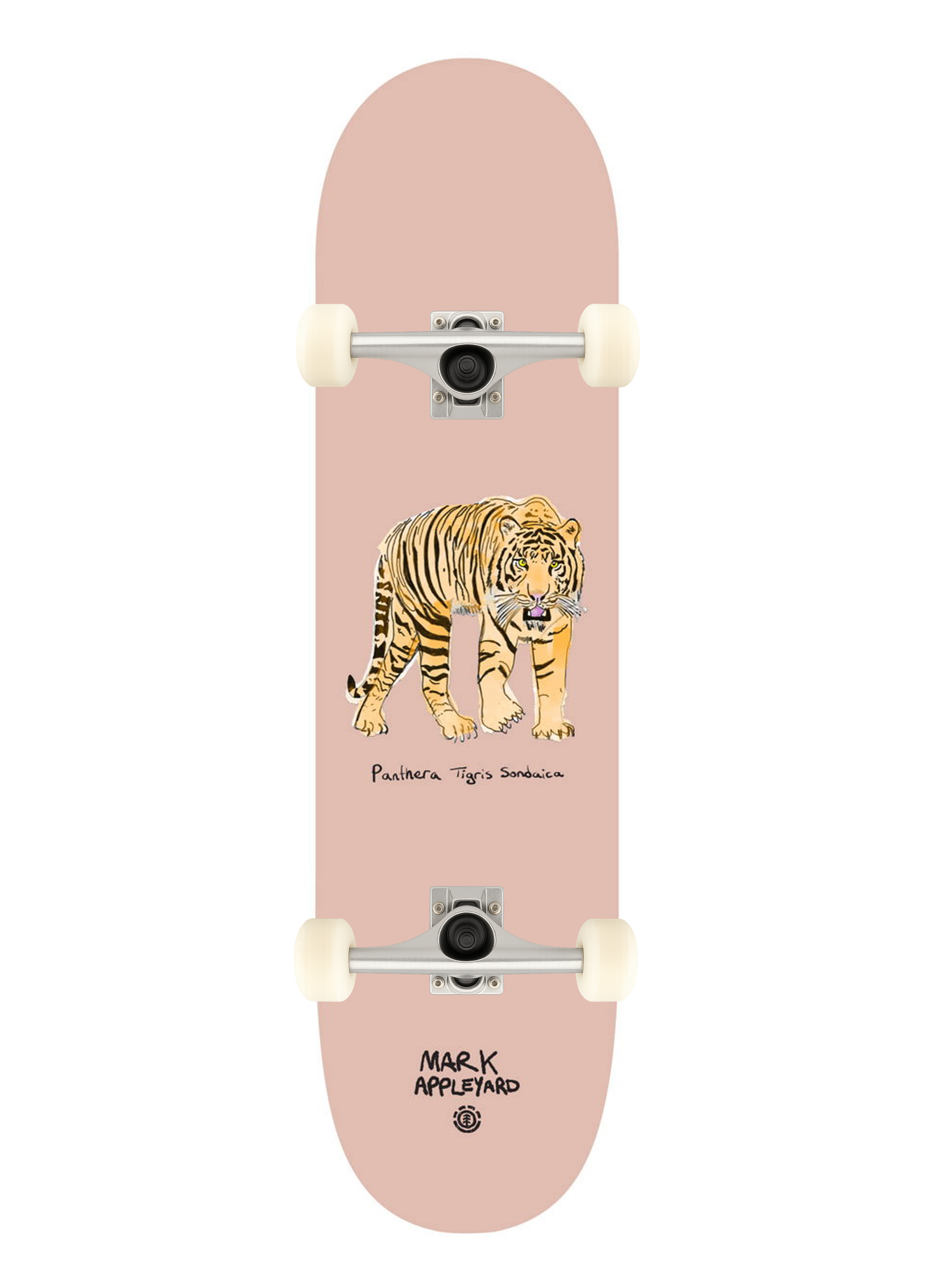 Element 8.38 Endangered Mark Appleyard Custom Complete Profesyonel Kaykay 
