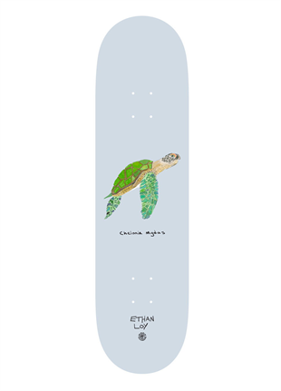 Element 8.5 Endangered Ethan Loy Deck Profesyonel Kaykay Tahtası 