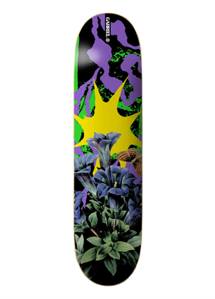 Element 8.25 Combine Gabriel Deck Profesyonel Kaykay Tahtası