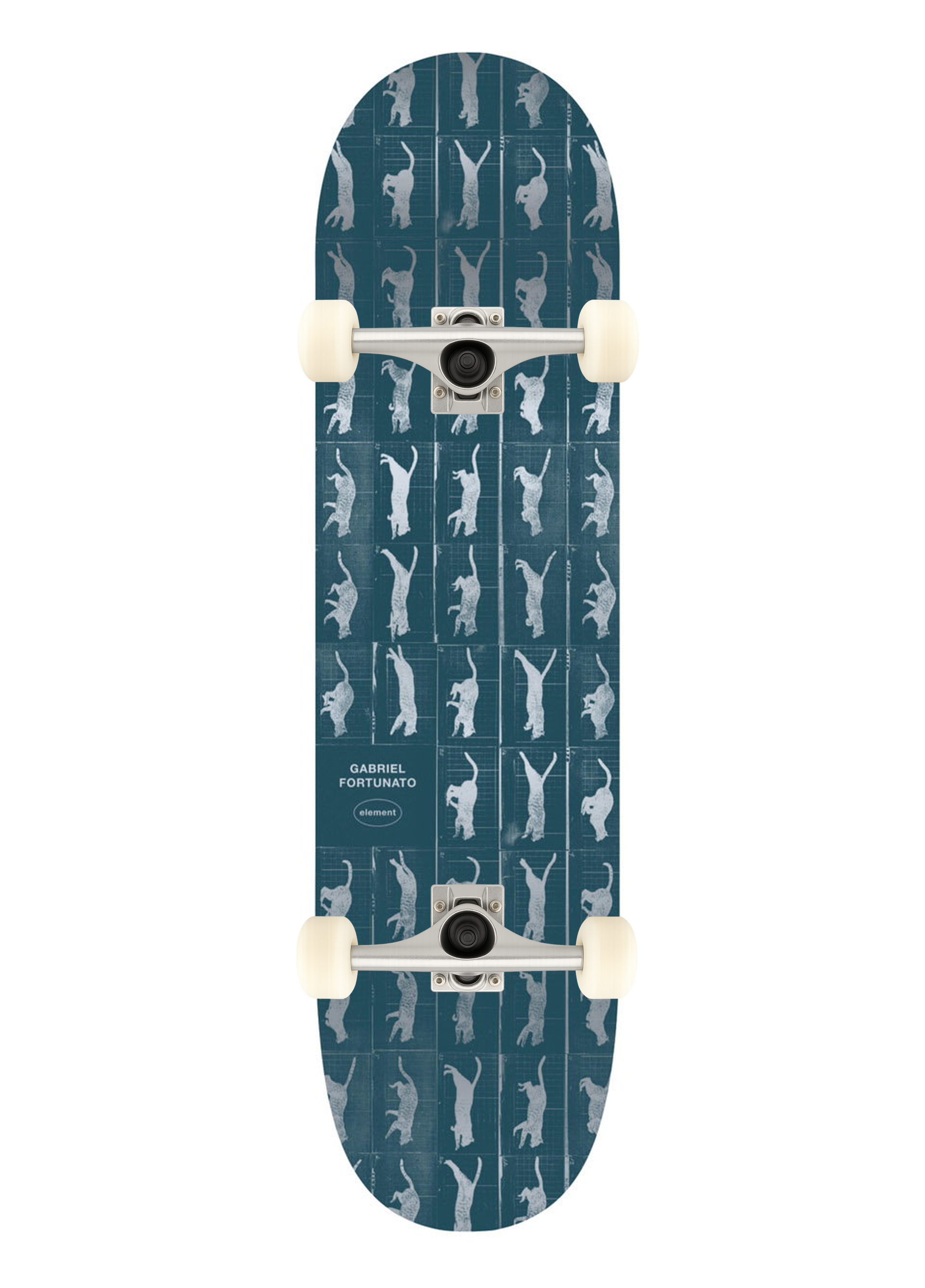 Element 8.25 Motion Gabriel Fortunato Custom Complete Profesyonel Kaykay 