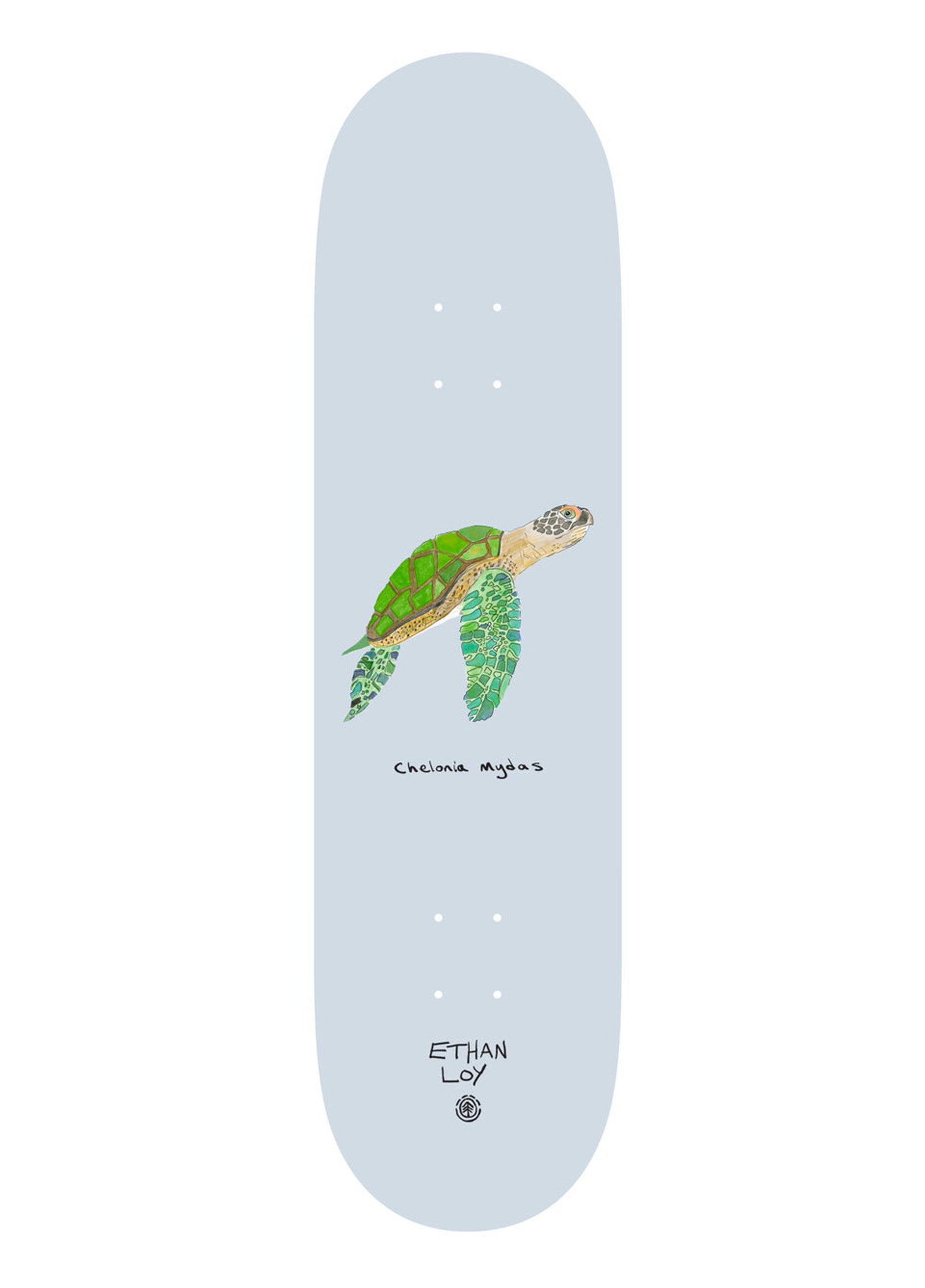Element 8.5 Endangered Ethan Loy Deck Profesyonel Kaykay Tahtası 