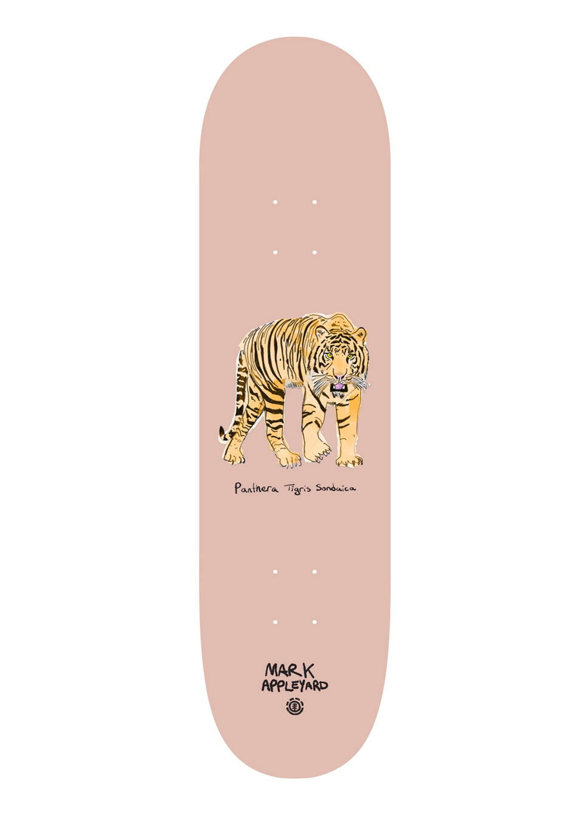 Element 8.38 Endangered Mark Appleyard Deck Profesyonel Kaykay Tahtası 