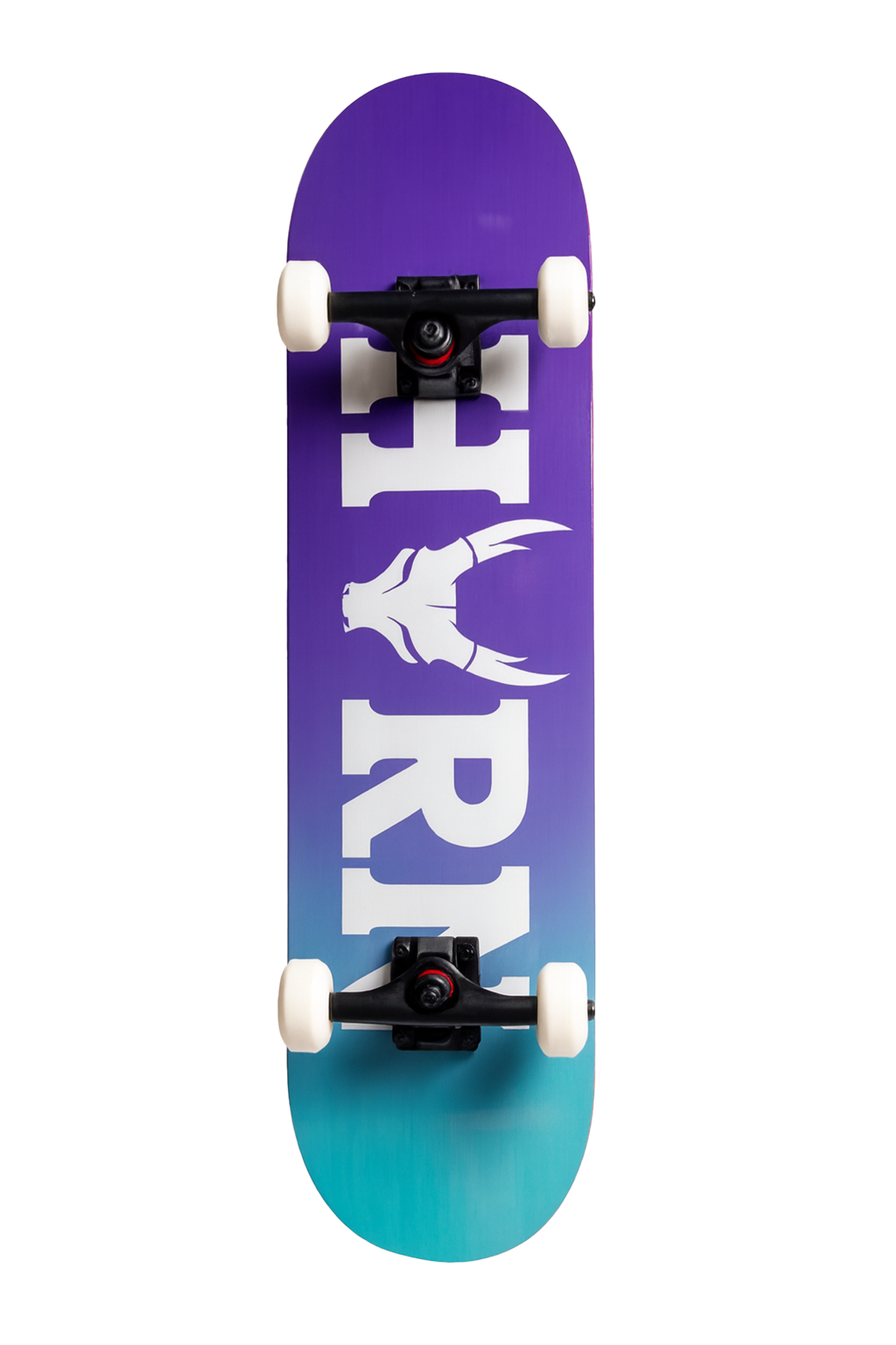 HORN CLASSIC LOGO PURPLE COMPLETE PROFESYONEL KAYKAY 8.0 