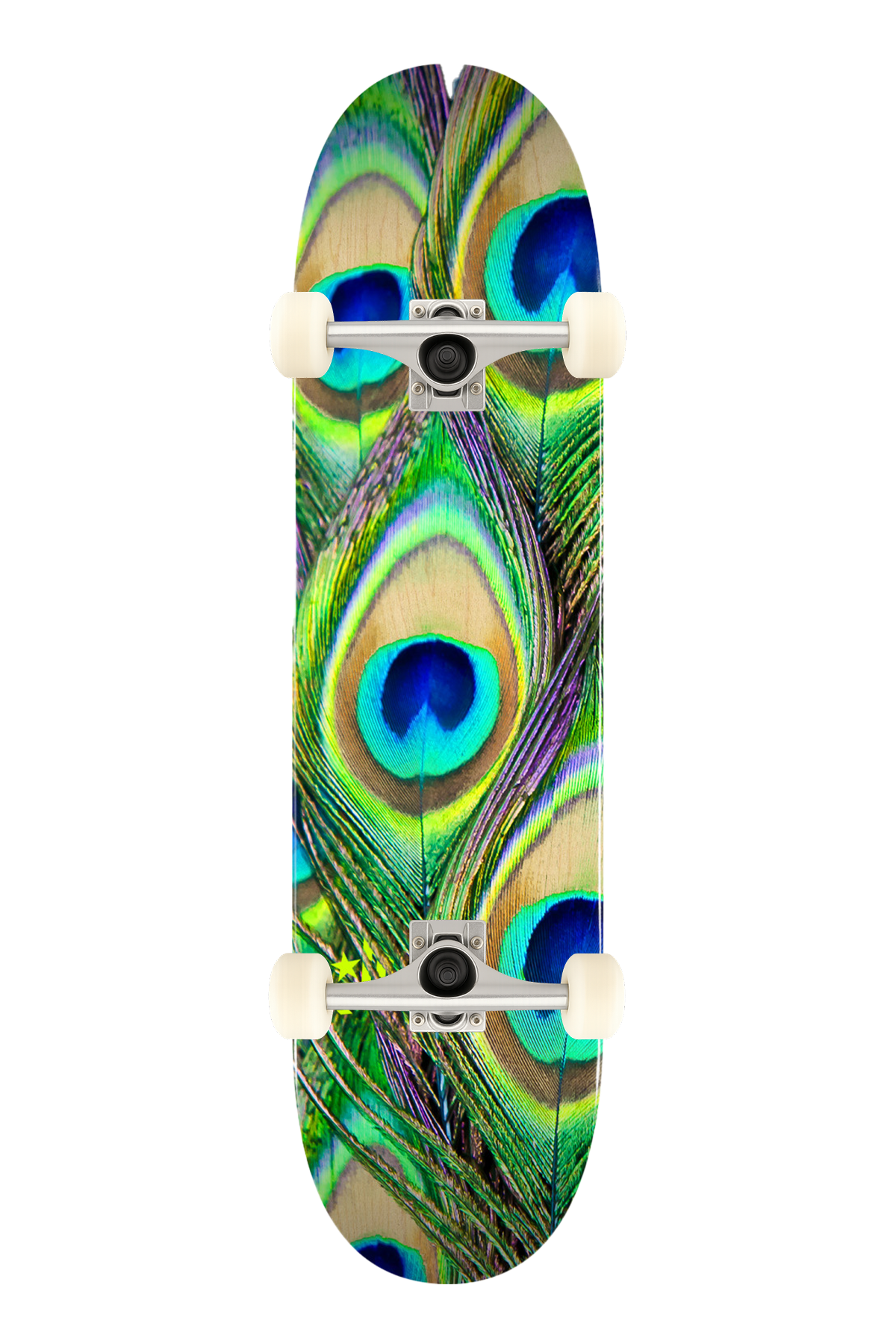 Mini Logo 8.0 Peacock Feather Complete Profesyonel Kaykay 