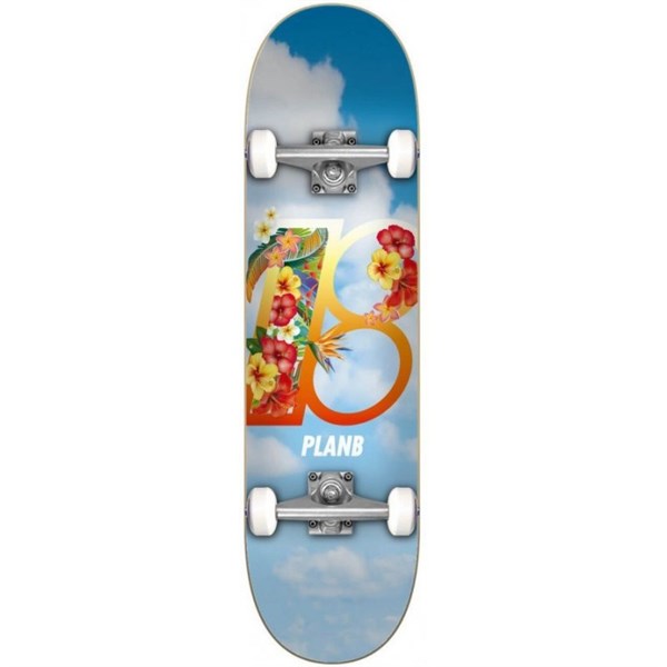 PLAN B 8.25 HAWAII COMPLETE PROFESYONEL KAYKAY 