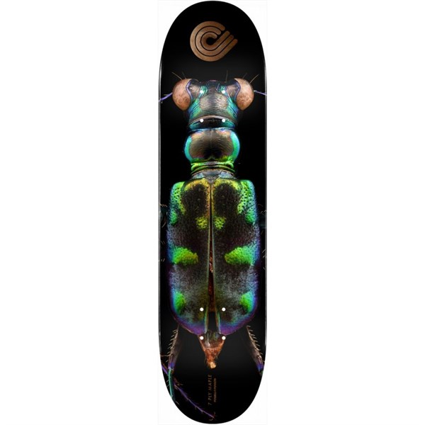 POWELL PERALTA 8.25 BISS TIGER BEETLE DECK PROFESYONEL KAYKAY TAHTASI 