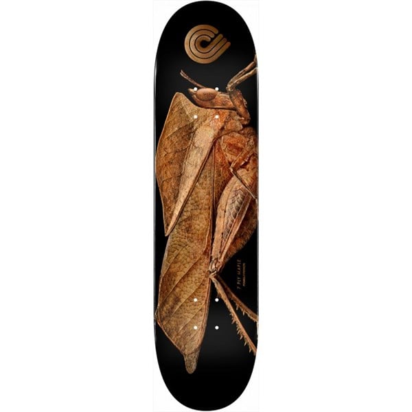 POWELL PERALTA 8.5 BISS LEAF GRASSHOPPER DECK PROFESYONEL KAYKAY TAHTASI 