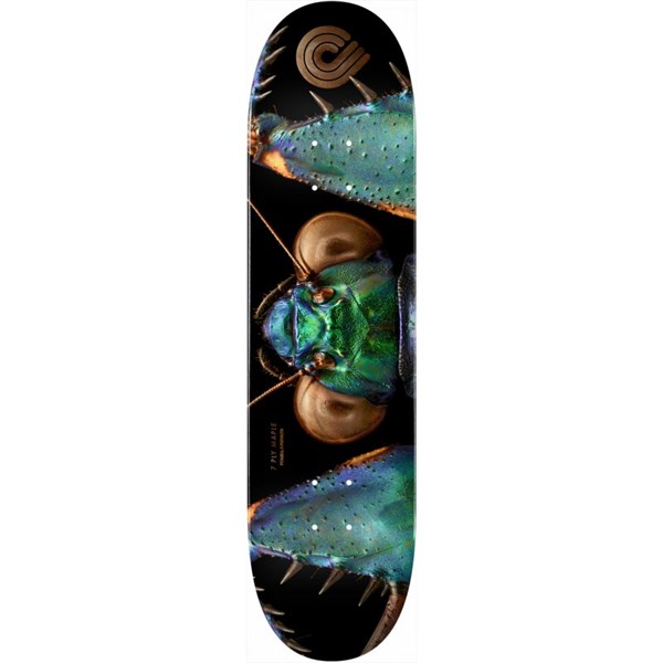 POWELL PERALTA 8.75 BISS BARK MANTIS DECK PROFESYONEL KAYKAY TAHTASI 