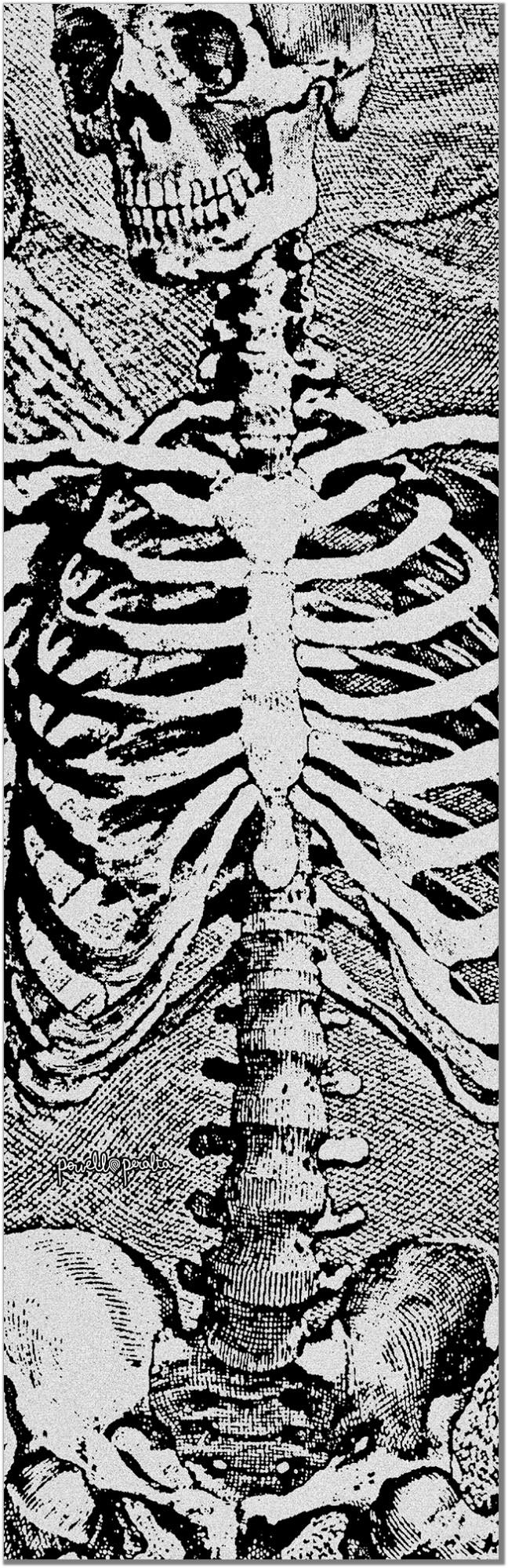 Powell Peralta Sas Skeleton Clear Kaykay Zımparası 