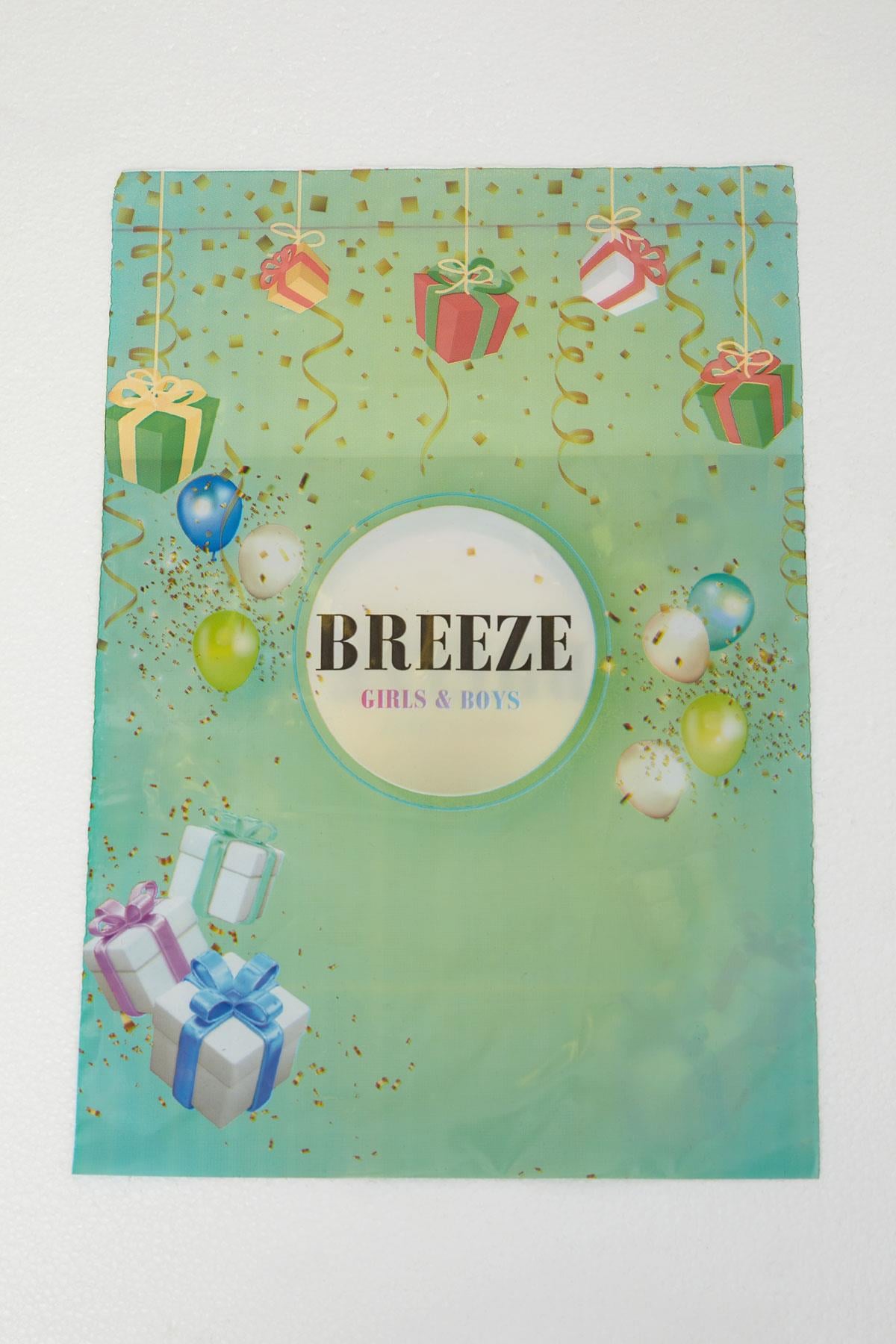Breeze Breeze Hediye Paketi Balonlu Yeşil (Standart)