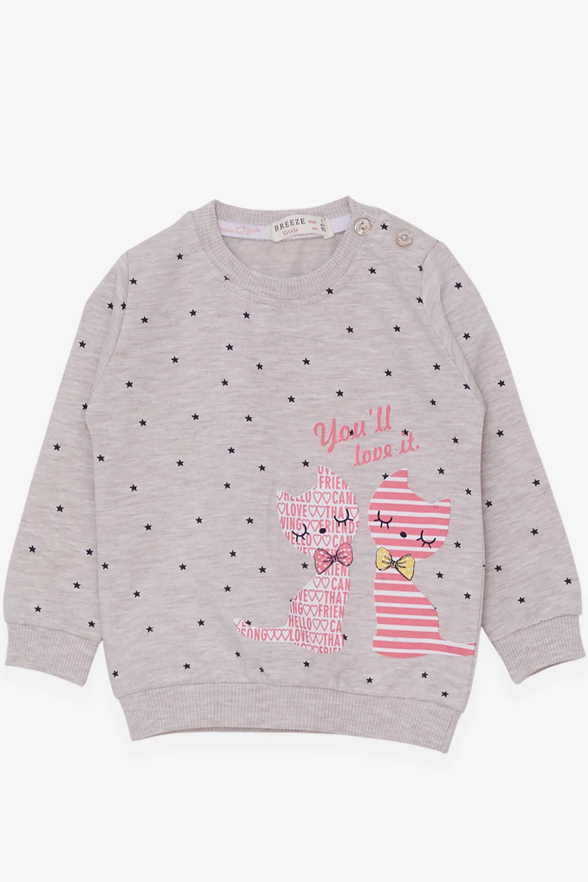 Breeze Kız Bebek Sweatshirt Mutlu Kedicikler Pudra (4 Ay-1.5 Yaş)