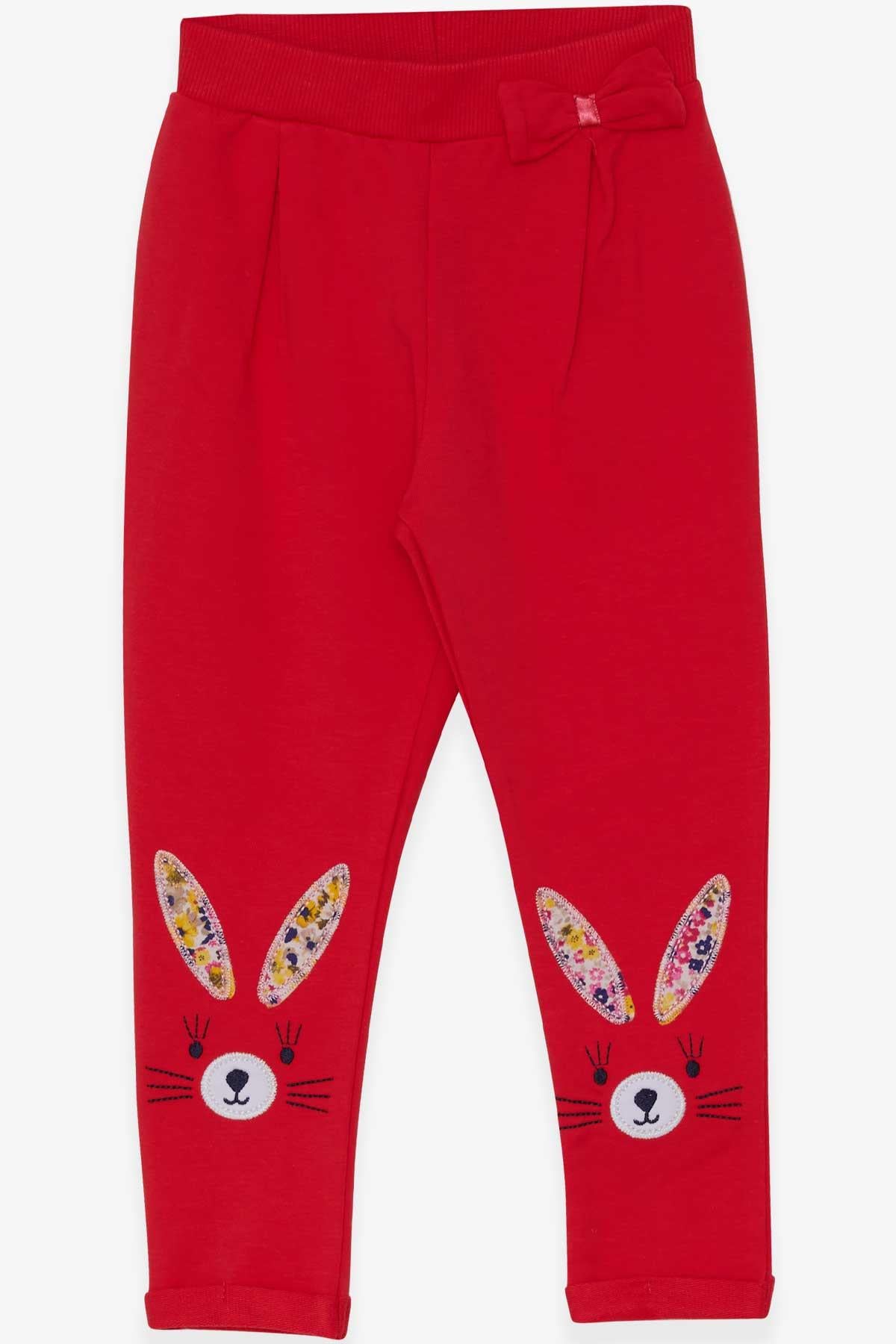 Breeze Kız Bebek Tayt Pantolon Tavşan Nakışlı Narçiçeği (9 Ay-3 Yaş)
