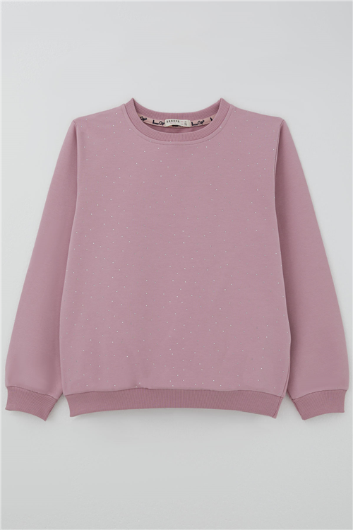 Breeze Kız Çocuk Sweatshirt Taş Aksesuarlı Gülkurusu (9-14 Yaş)