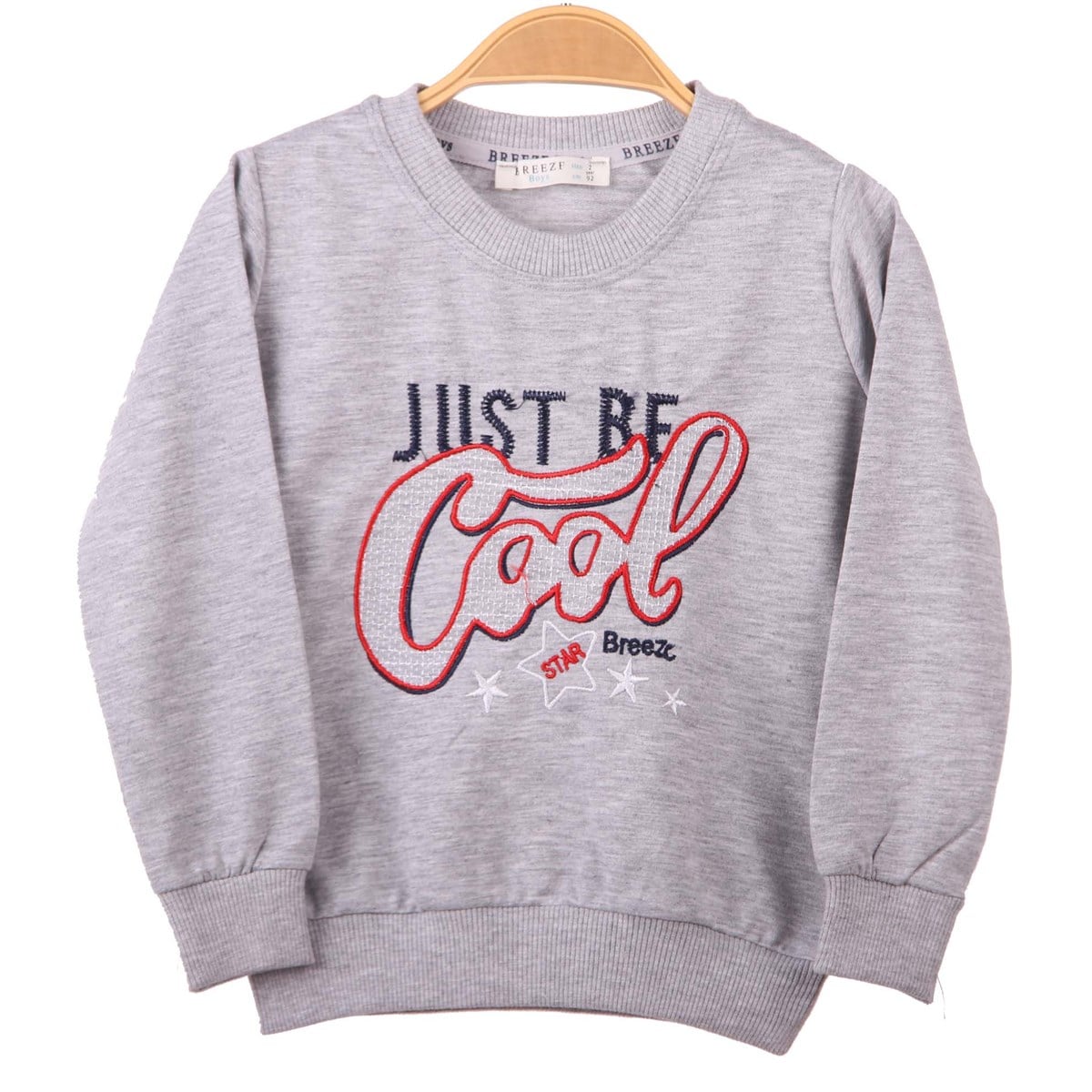 Sweatshirt & KazakBREEZE12262-009Baskılı Sweat