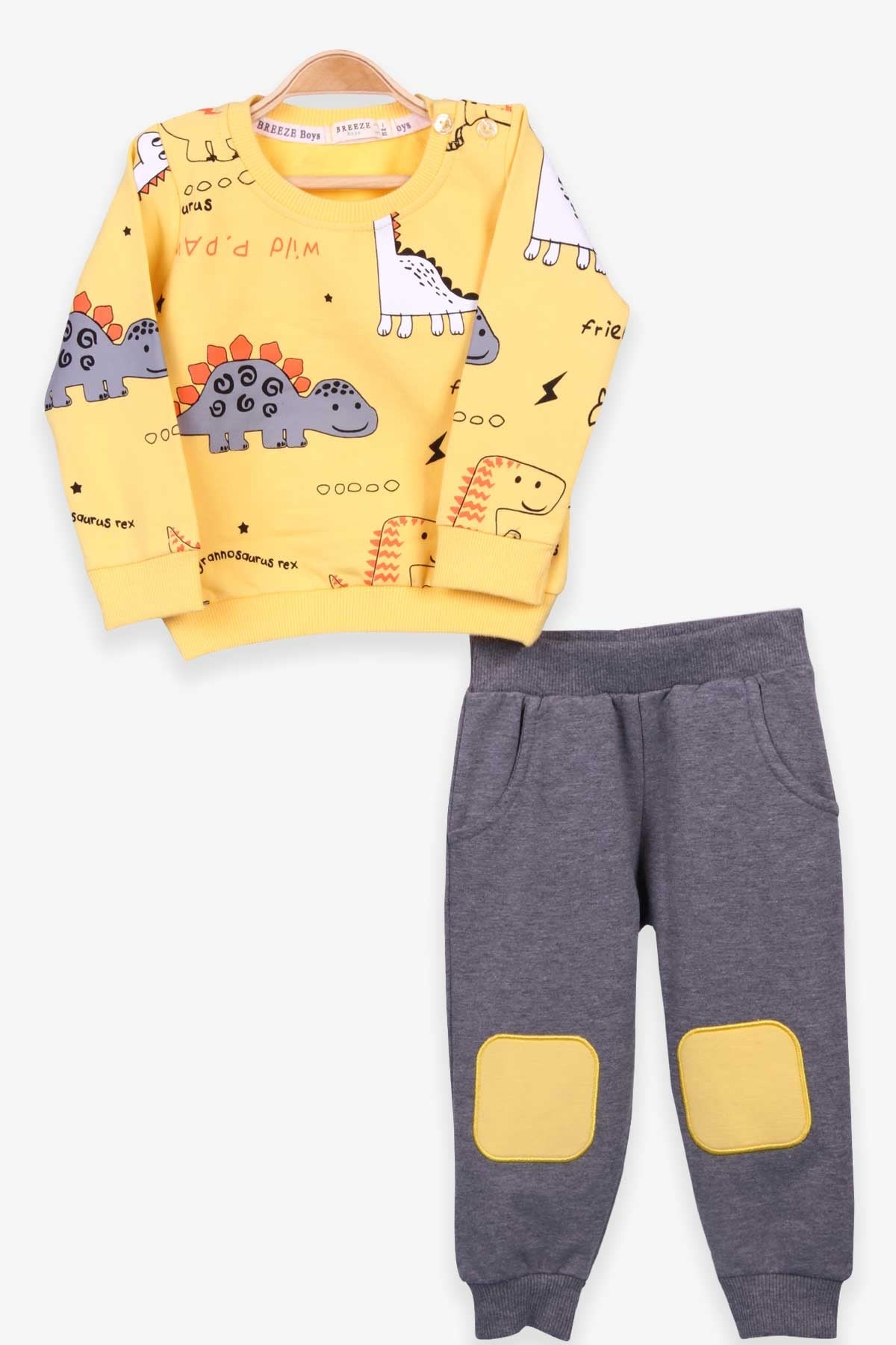 Breeze Erkek Bebek Eşofman Takımı Dinozor Baskılı Sarı (9 Ay-3 Yaş)
