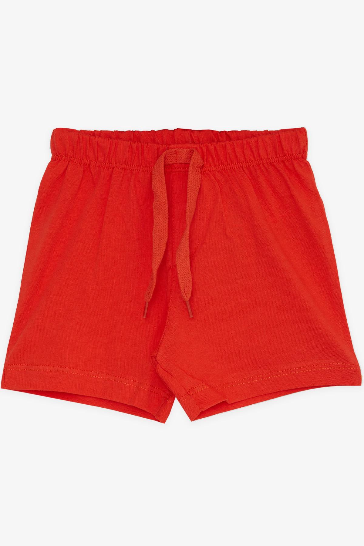 Breeze Erkek Bebek Şort Beli Lastikli Bağcık Aksesuarlı Basic Turuncu (9 Ay-3 Yaş)