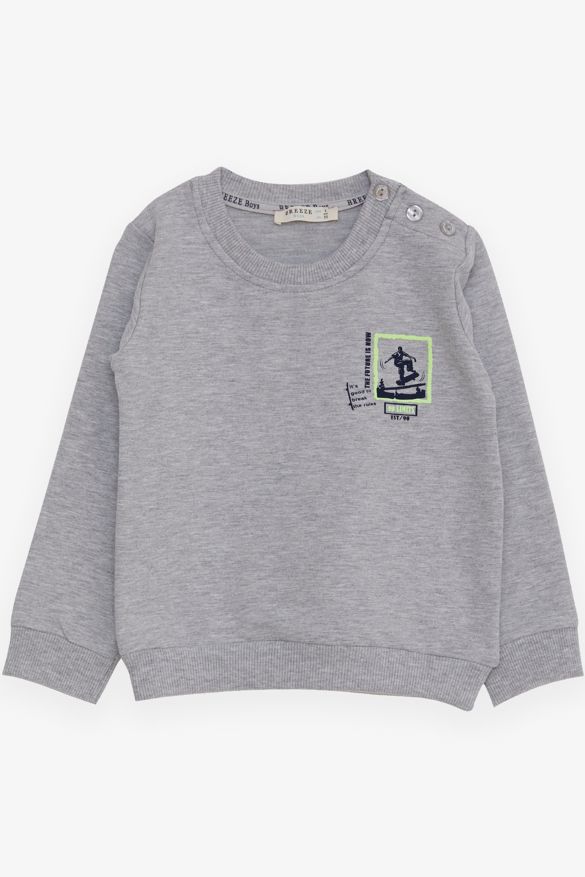 Breeze Erkek Bebek Sweatshirt Kaykaycı Baskılı Gri Melanj (9 Ay-3 Yaş)