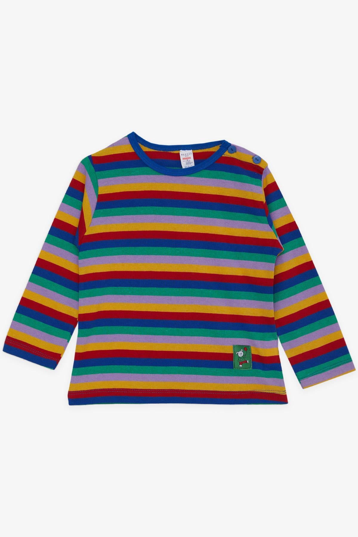 Breeze Erkek Bebek Uzun Kollu Tişört Patlı Çizgili Ayıcık Baskılı Karışık Renk (9 Ay-3 Yaş)