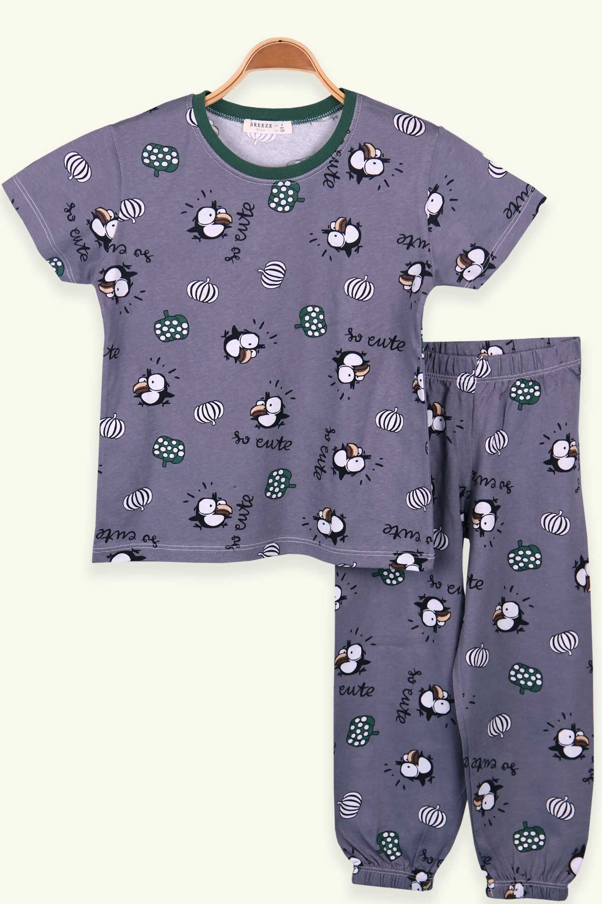 Breeze Erkek Çocuk Pijama Takımı Kuş Desenli İndigo (4-8 Yaş)