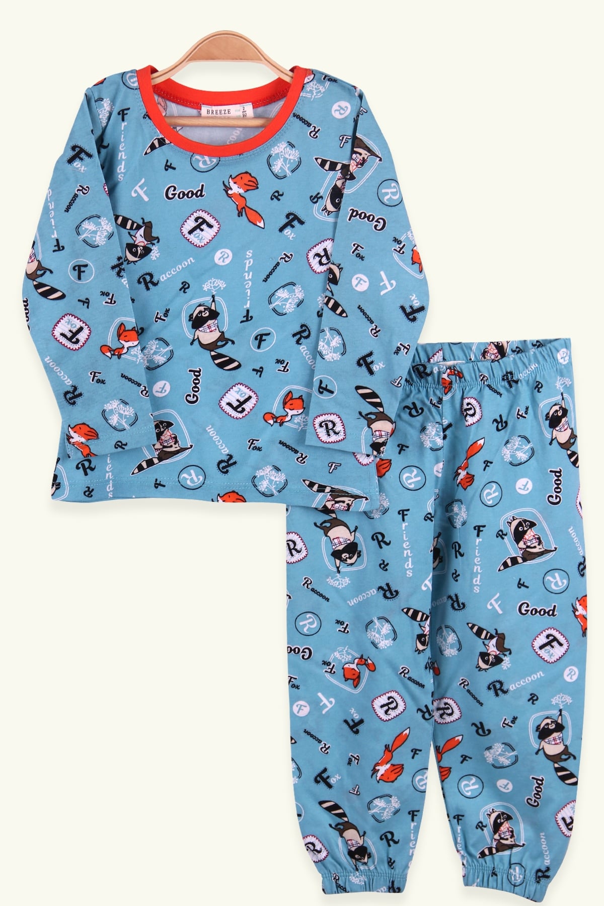 Breeze Erkek Çocuk Pijama Takımı Rakun Desenli Turkuaz (2-6 Yaş)